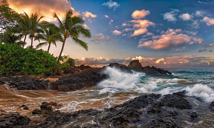 clouds, stones, palm trees, the ocean, rocks, surf, Hawaii, quiet, Maui, tropics., HD wallpaper