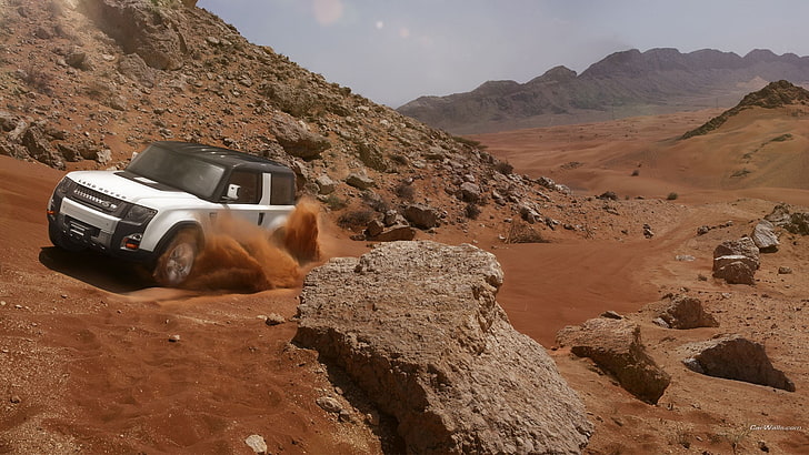 cane marrone e bianco a pelo corto, Land Rover DC100, concept car, deserto, roccia, Sfondo HD