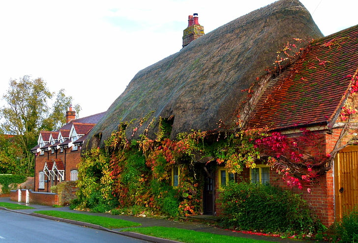 Buildings, House, Cottage, England, Fall, Foliage, Man Made, Thatched Roof, Vine, HD wallpaper
