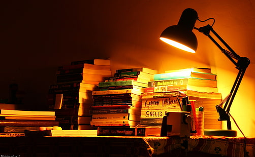 Книжная жизнь, сборник титульных книг, винтаж, книги, арт, ночь, лампа, HD обои HD wallpaper