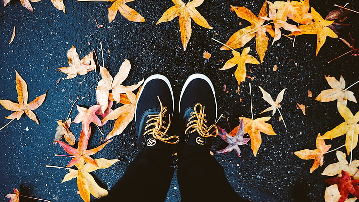 paire de chaussures basses noires et blanches, feuilles, feuilles d'érable, chaussures, pieds, automne, jaune, vue de dessus, humide, rue mouillée, asphalte, Fond d'écran HD