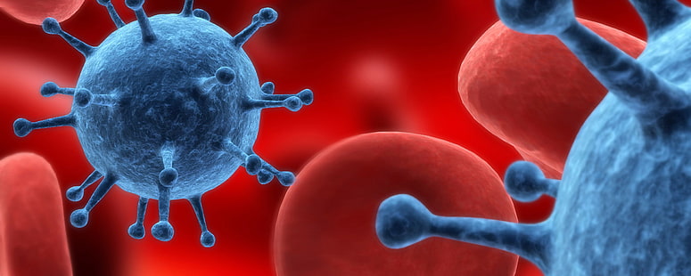 เซลล์เม็ดเลือดแดงและจุลินทรีย์สีน้ำเงินศิลปะดิจิทัลมาโคร, วอลล์เปเปอร์ HD HD wallpaper