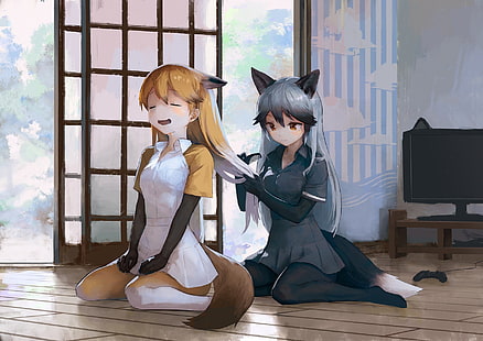 animal ears, Kemono Friends, pantyhose, Silver fox (Kemono friends), HD wallpaper HD wallpaper