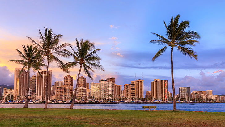sea, the sky, grass, clouds, bench, tropics, palm trees, lawn, shore, home, yachts, Hawaii, Bay, Waikiki, Honolulu, HD wallpaper