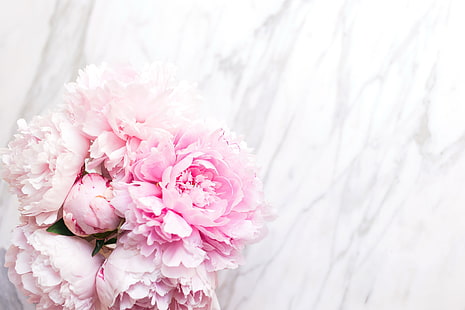 pink flowers, flowers, bouquet, marble, pink, peonies, tender, HD wallpaper HD wallpaper