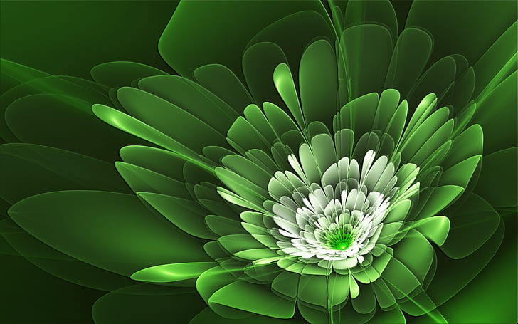 Flower petals are green, Flower, Petals, Green, HD wallpaper