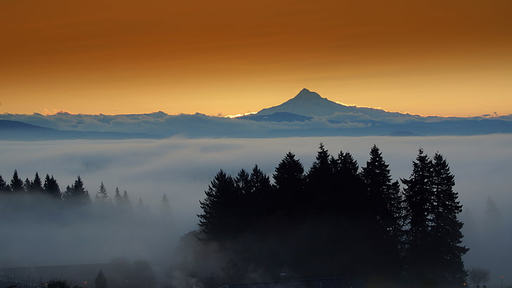 мъглива планинска гора ултра hd 8k изображение, HD тапет