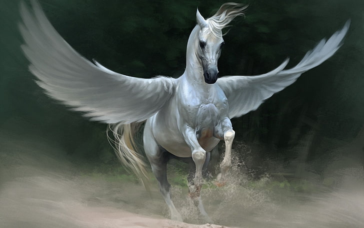 Pegasus, opere d'arte, fantasy art, cavallo, ali, Sfondo HD