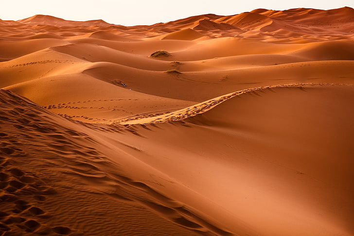 desert, desert, morocco, dune, sand, HD wallpaper