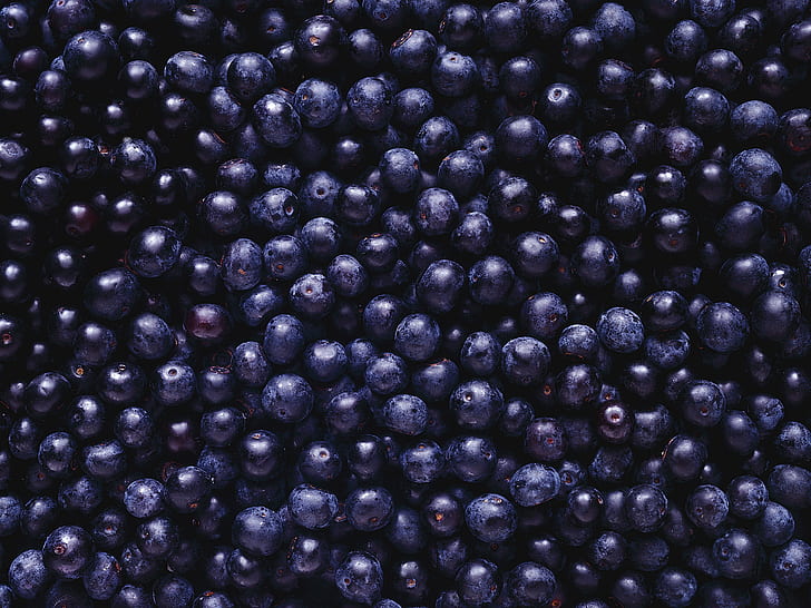 beri, hitam, blueberry, banyak, Wallpaper HD