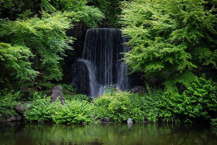 foresta, cascata, Giappone, Экспо Мемориальный Парк, Sfondo HD