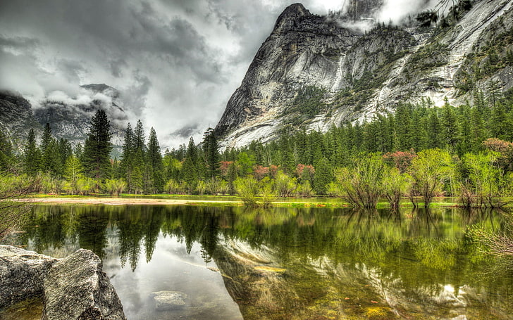 champ d'herbe verte, nature, HDR, paysage, lac, montagnes, arbres, nuages, pierres, réflexion, Parc national de Yosemite, Half Dome, Fond d'écran HD