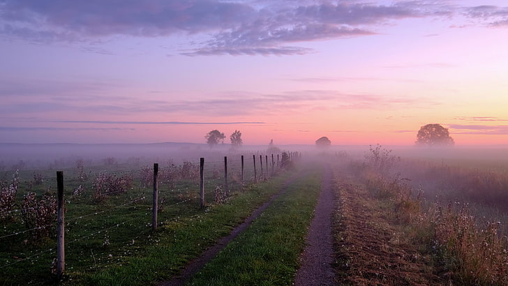campo de hierba verde, campo, el cielo, nubes, árboles, niebla, amanecer, amanecer, mañana, cerca, neblina, Suecia, camino, Fondo de pantalla HD