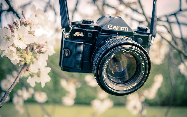 Canon camera HD wallpapers free download | Wallpaperbetter