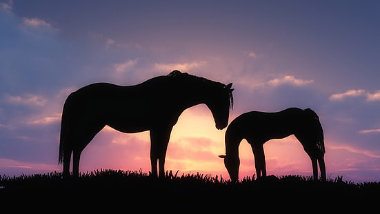 silhueta de cavalos, silhueta, cavalo, pôr do sol, cgi, animais, HD papel de parede HD wallpaper