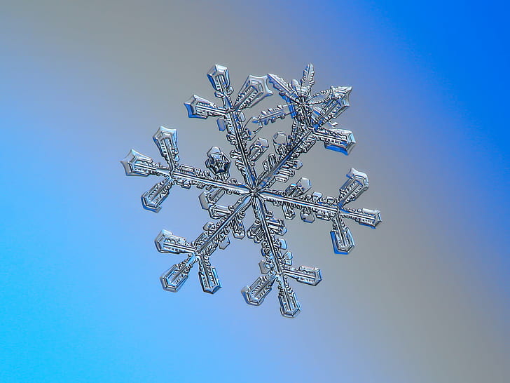снежинка, макро, 3-в-1, произведение искусства, фото, снежный кристалл, кристаллическая симметрия, на открытом воздухе, зима, холодная, мороз, естественный, лед, крупным планом, прозрачный, шестиугольник, увеличенный, детали, форма, рождество, знаксимвол, сезон, сезонный, отлично, элегантный, витиеватый, красота, красивый, север, декор, изолированный, ясно, уникальный, украшенный, свет, освещение, хрупкий, хрупкость, структура, фон, чешуйчатый, морозный, шаблон, погода, ледяноймикроскопический, орнамент, украшение, абстрактный, блестящий, блеск, блеск, объемный, шторм, новый год, необычный, редкий, кристаллический, кристаллизованный, свежий, синий, снег, замороженный, фоны, белый, HD обои
