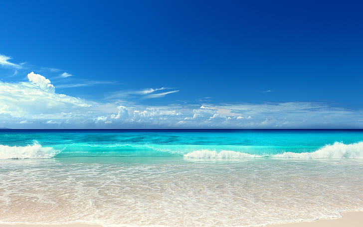 아름다운 파도, 바다, 풍경, 화려하고 멋진, HD 배경 화면