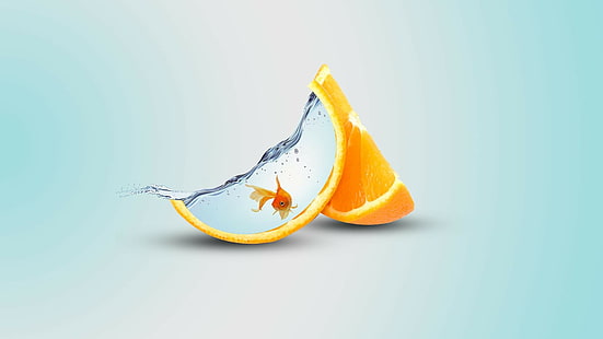 Апельсин, фрукты, апельсин, рыба, вода, апельсин, фрукты, рыба, вода, HD обои HD wallpaper