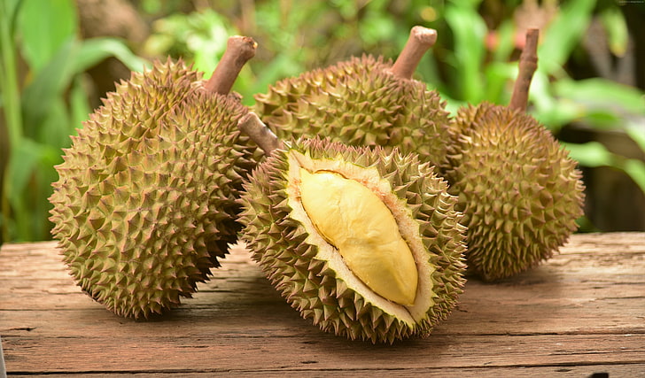 durian, 5K, fruta, Fondo de pantalla HD