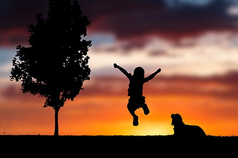 Giocando bambino, tramonto, umore, felicità, sagoma, cane, 5K, Sfondo HD HD wallpaper