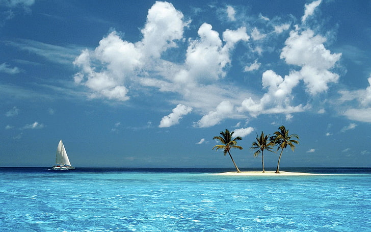 nature, landscape, island, palm trees, Windows 98, HD wallpaper