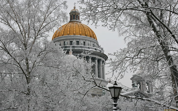 San Pietroburgo, Peterhof, Russia, alberi d'inverno, città Wallpaper Hd, Sfondo HD