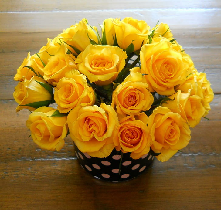 ? Joy and Gladness ?, roses, yellow, white, polka-dots, black, HD wallpaper