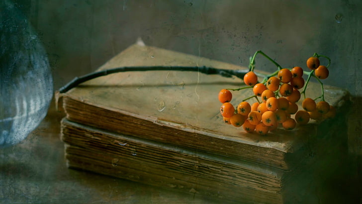 orange fruits on book, vintage, fruit, books, sea buckthorn, HD wallpaper