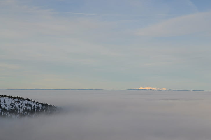 4608x3072 px bulutlar Soğuk manzara sis dağlar Oakley Hayvanlar Ayılar HD Sanat, Bulutlar, Manzara, soğuk, dağlar, Oakley, MIST, 4608x3072 px, HD masaüstü duvar kağıdı