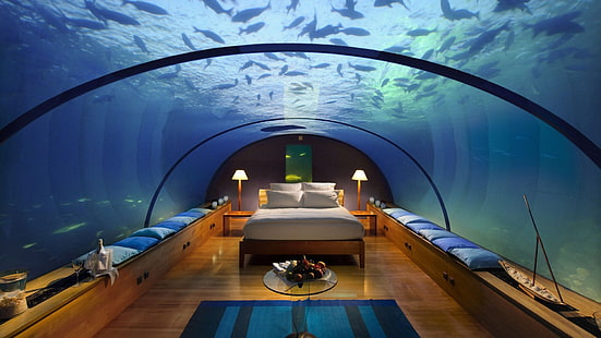 hotell, säng, interiör, lampa, fisk, akvarium, HD tapet HD wallpaper