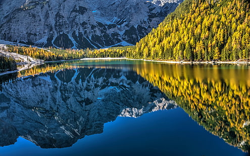 automne, forêt, montagnes, lac, réflexion, Italie, Les Dolomites, Tyrol du Sud, Dolomites, Lac Braies, Pragser Wildsee, Le lac de Braies, Fond d'écran HD HD wallpaper