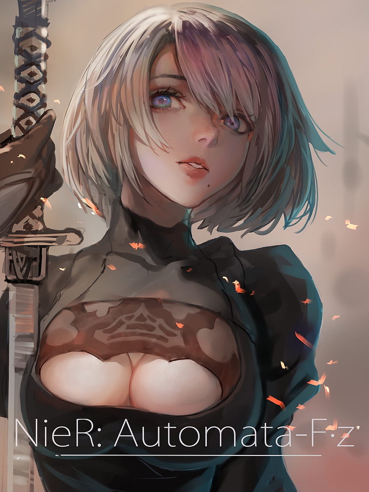 woman holding sword digital wallpaper, anime, anime girls, Nier: Automata, 2B (Nier: Automata), NieR, HD wallpaper