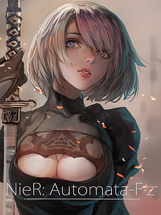 женщина с мечом цифровые обои, аниме, аниме девушки, Nier: Автоматы, 2B (Nier: Автоматы), NieR, HD обои HD wallpaper