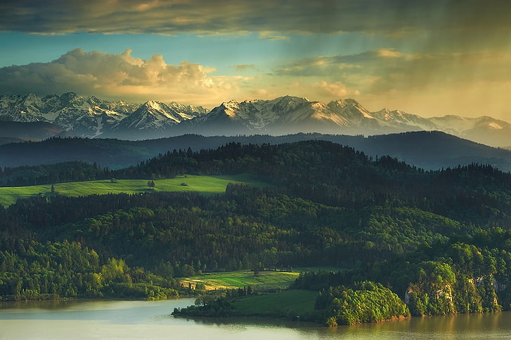 lotto di alberi, montagne, Polonia, Tatra, paesaggio, natura, Europa, Sfondo HD