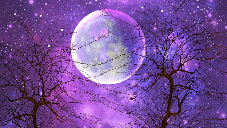 Künstlerisch, Mond, Lila, Himmel, Sternenhimmel, Baum, HD-Hintergrundbild