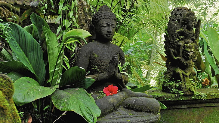 statua del buddha, religiosa, buddismo, Sfondo HD