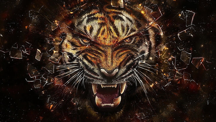 graue und orange Tigertapete, Tiger, Zusammenfassung, Tiere, digitale Kunst, zerbrochen, Grafik, Brüllen, HD-Hintergrundbild