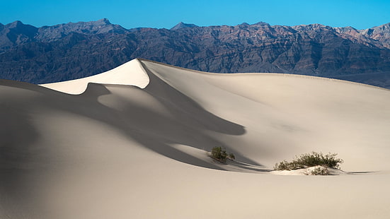 sjungande sand, USA, Kalifornien, nationalpark, geologi, sanddyner, berg, landskap, ås, vit sand, Death Valley National Park, himmel, Death Valley, vildmark, mesquite platta sanddyner, sanddyn, sand, öken, HD tapet HD wallpaper