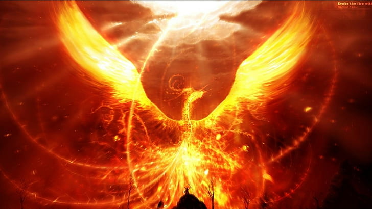 Fantasiekunst, Feuer, Phoenix, HD-Hintergrundbild