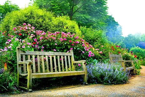braune Holzbank, künstlich hergestellt, Bank, Blume, Park, rosa Blume, Frühling, HD-Hintergrundbild HD wallpaper