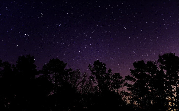 silueta de árboles, estrellas, noche, paisaje, noche estrellada, árboles, larga exposición, Fondo de pantalla HD