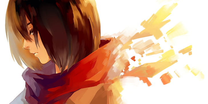 Anime, Angriff auf Titan, Mikasa Ackerman, Schal, HD-Hintergrundbild