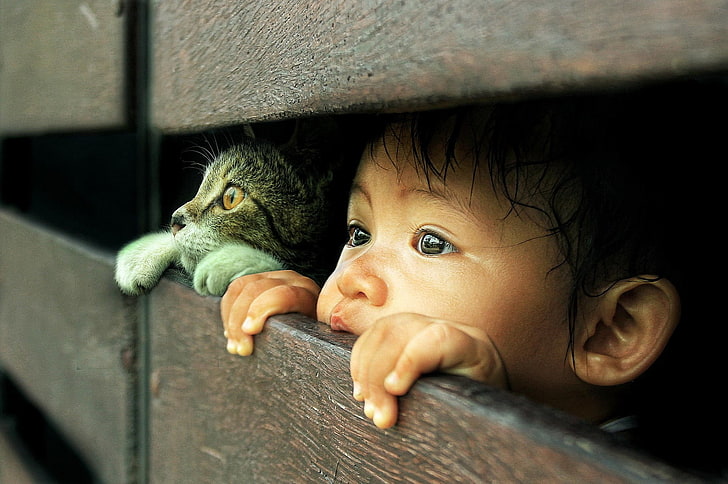 طفل صغير ، قطة ، فوتوشوب، خلفية HD