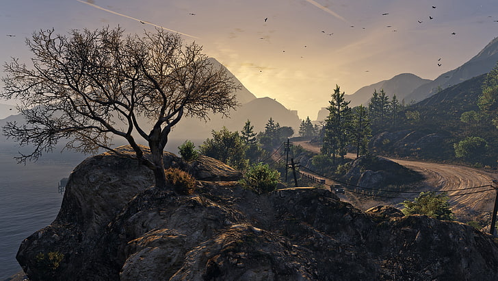 trees and mountain, brown dirt road surrounded of trees near ocean under white sky, Grand Theft Auto, Grand Theft Auto V, Grand Theft Auto V PC, video games, trees, birds, car, mountains, Rocky Mountains, HD wallpaper