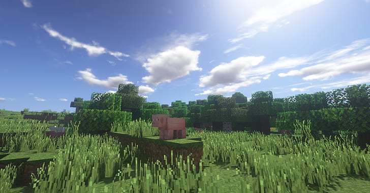 Minecraft, natürliche Landschaft, HD-Hintergrundbild