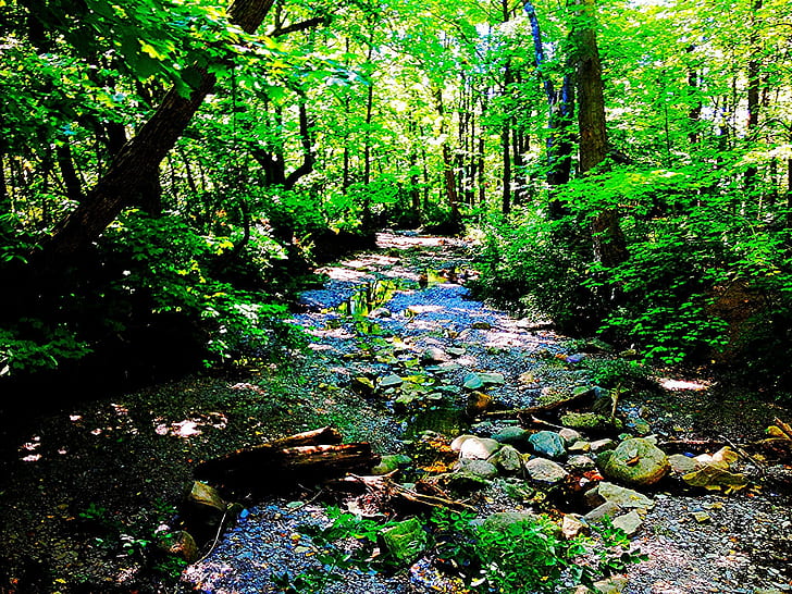 Flussbett, Flussbett, Ohio, Highbanks, Creek, Natur und Landschaften, HD-Hintergrundbild