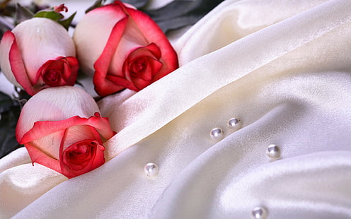 Mariage, rose, fleurs, perle, mariage, photographie, profondeur de champ, mariage, rose, fleurs, perle, photographie, profondeur de champ, Fond d'écran HD HD wallpaper