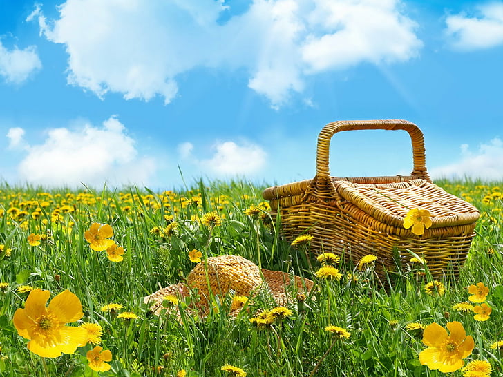 Food, Picnic, Cosmos, Earth, Field, Picnic Basket, Spring, Straw Hat, Yellow Flower, HD wallpaper