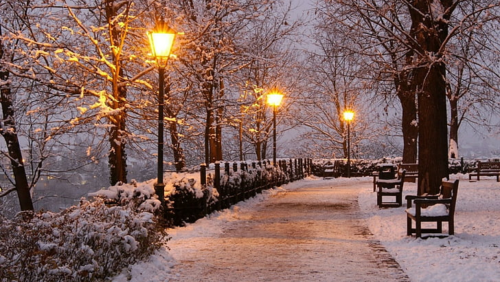 bench, seat, street lights, park, street light, snow, winter, nature, tree, evening, HD wallpaper