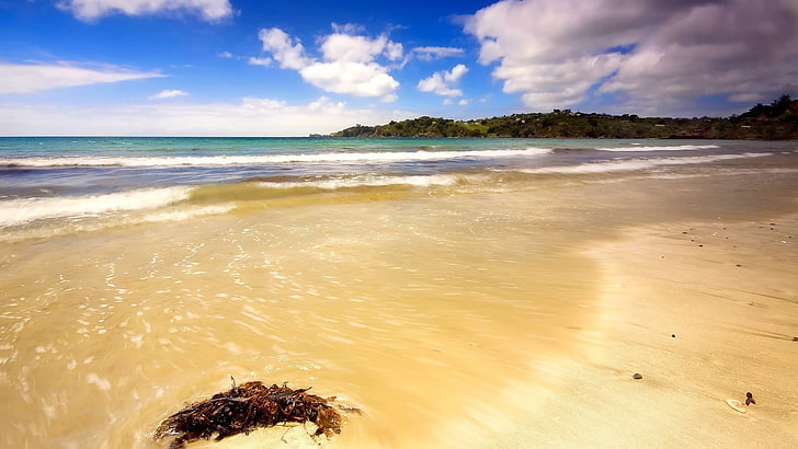 cuerpo de agua, playa, arena, naturaleza, mar, Fondo de pantalla HD